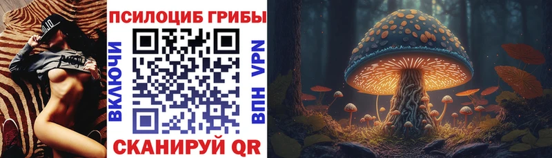 купить наркоту  МЕГА ССЫЛКА  Псилоцибиновые грибы Magic Shrooms  Карабулак 